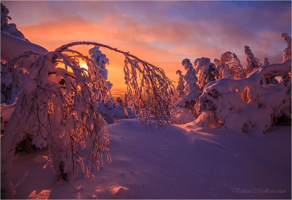 Обои для рабочего стола Работа снежная тишина, фотограф Valtteri Mulkahainen