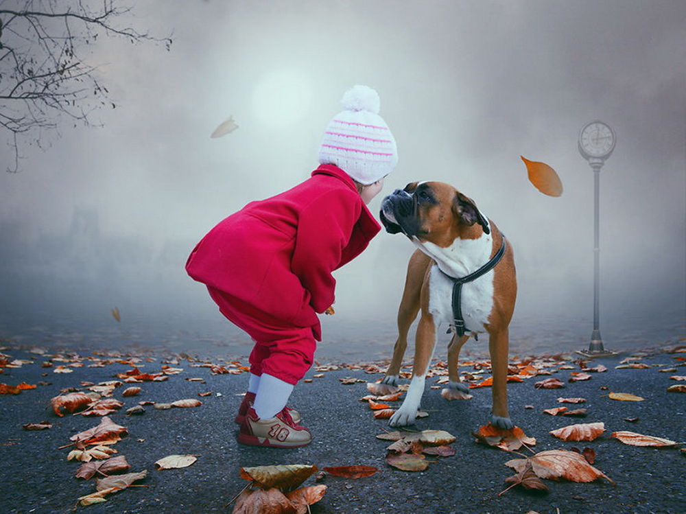 Обои для рабочего стола Девочка в белой, вязаной шапочке смотрит в глаза стоящей рядом собаке породы боксер в окружении осенних листьев, лежащих на дороге, туманной дымки, закрывшей часть дороги и небо, автор Garas Ionut