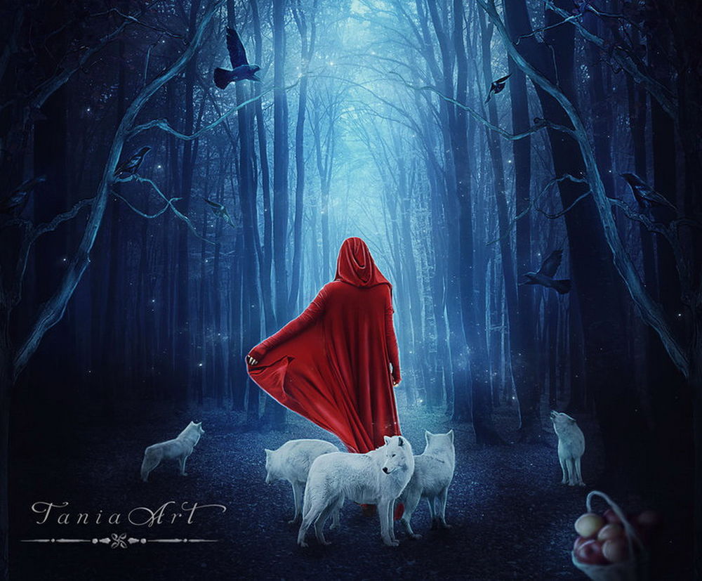 Обои для рабочего стола Девушка в длинном красном одеянии с капюшоном на голове, идущая ночью по лесной дорожке с синим туманом между деревьями в окружении стаи белых волков, автор Tania Art
