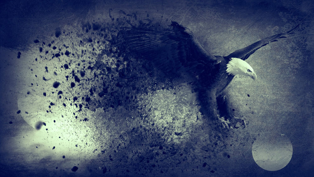 Обои для рабочего стола Белоголовый орлан атакует свою жертву с неба, вокруг его крыльев и лап разлетается множество мелких кусочков земли или каких-то других частиц, под ним справа - диск солнца