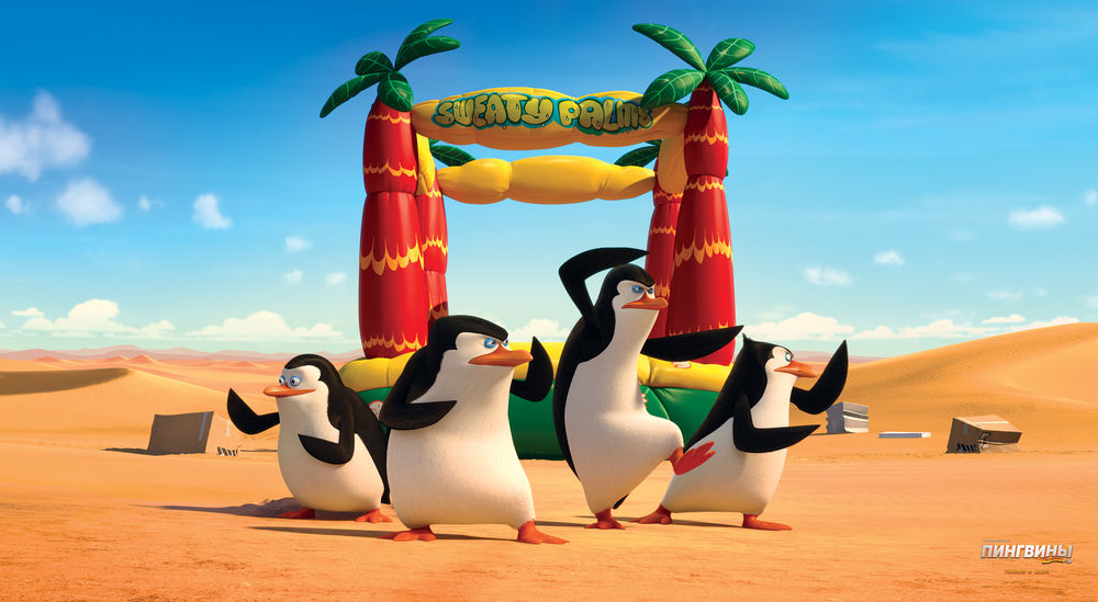 Обои для рабочего стола Пингвины в пустыне, мультсериал Пингвины Мадагаскара / Penguins Madagaskar: Рико / Rico, Шкипер / Skipper, Рядовой / Private и Ковальски / Kowalski