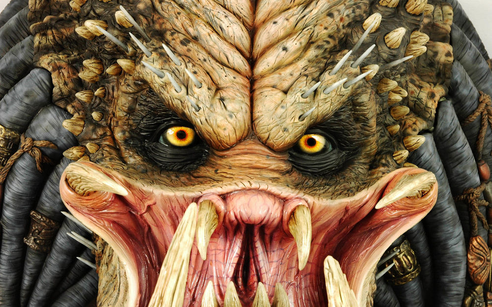 Обои для рабочего стола Хищник из фильма Хищник / Predator