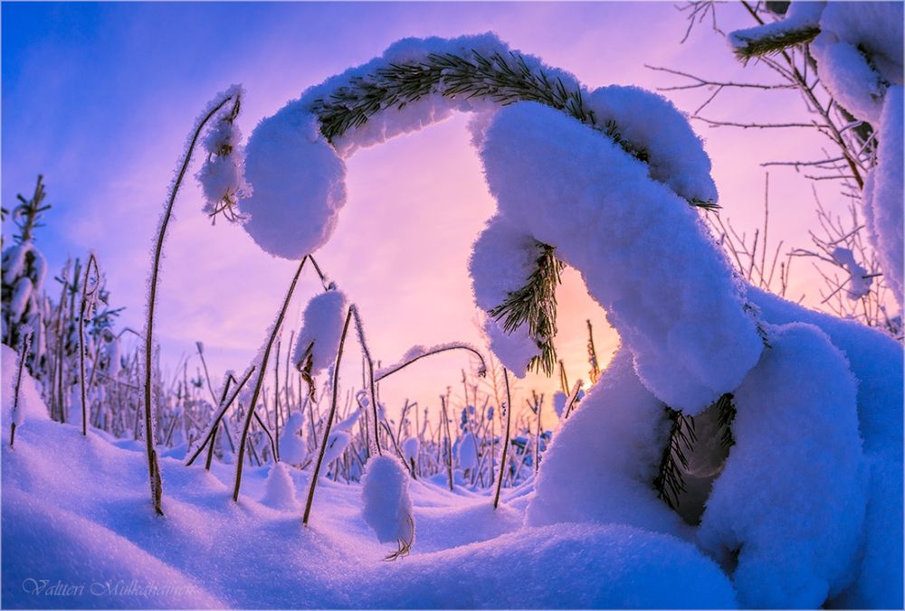 Обои на рабочий стол Природа в снегу работа фантазии природы фотограф Valtteri Mulkahainen