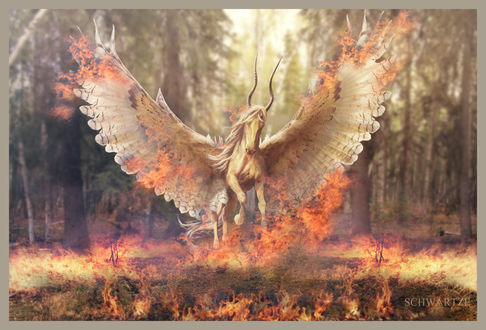 Обои на рабочий стол Работа The God of Light and Fire / Бог Света и Огня, Пегас с горящими крыльями, by Schwartze