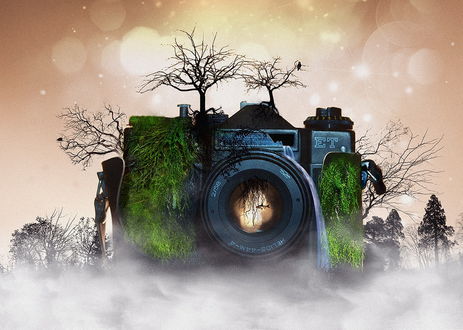 Обои на рабочий стол Ретро фотоаппарат, заросший деревьями и зелеными кустами, окутанный у основания молочным туманом, с водой в объективе и плавающей в нем рыбкой, автор Vladim_Shipulin