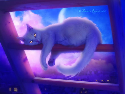 Обои на рабочий стол Белый кот с коричневыми глазами, лежащий на деревянной лестнице на фоне вечернего небосклона, светящихся окон домов, автор tamara R