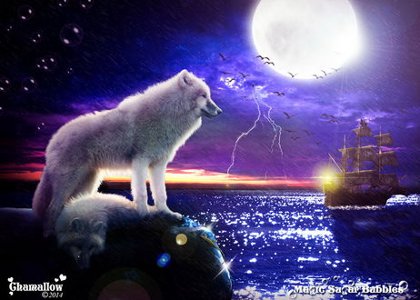 Обои на рабочий стол Два белых волка, один из которых лежит, другой стоит на каменном валуне на берегу моря на фоне ярко светящейся луны на ночном небе, ярко сверкающих молний, парящих в воздухе птиц, проливного дождя и плывущего парусника, автор MaGic-SuGar-Rubblec S