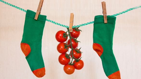 Обои на рабочий стол Носки на веревке с помидорами