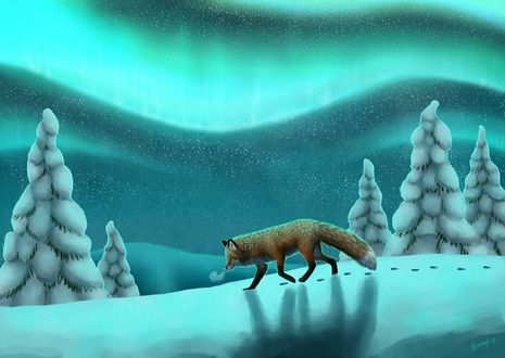 Обои на рабочий стол Лиса идет по снегу, оставляя за собой следы, by Humius