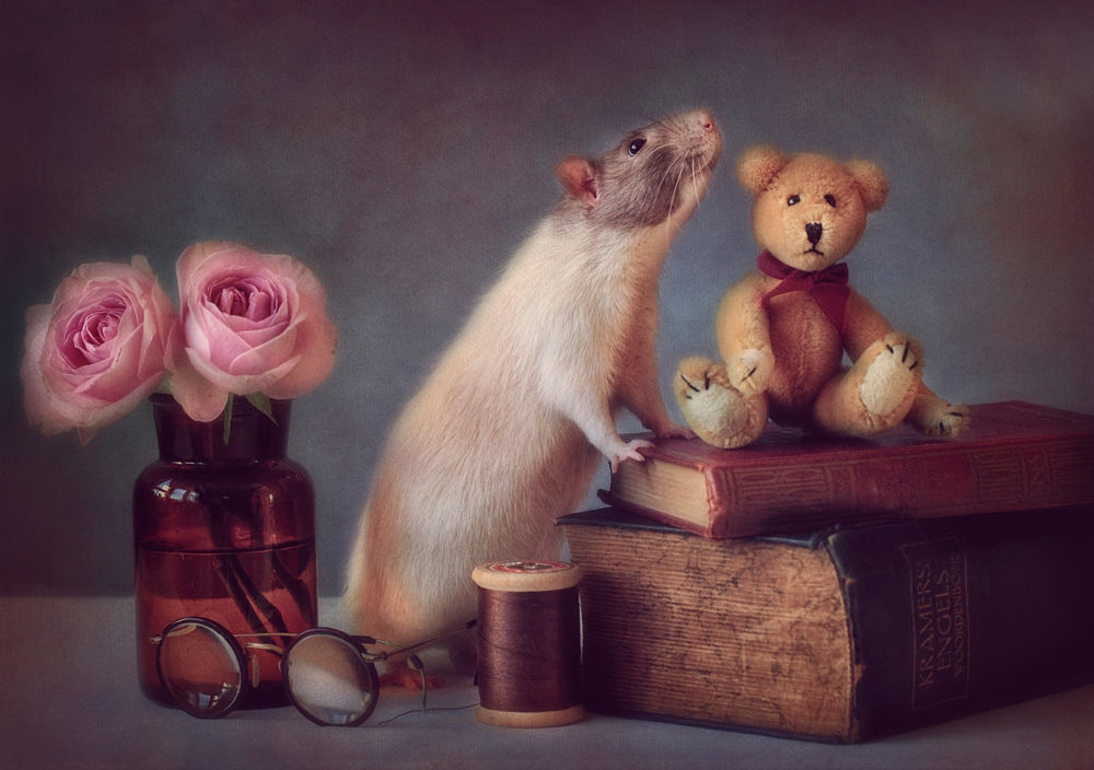 Обои для рабочего стола Любопытный мышонок, стоящий на задних лапках, уперся передними лапками на стопку книг с лежащим на ней игрушечным медвежонком, позади него стоит стеклянная ваза с водой и розами в ней