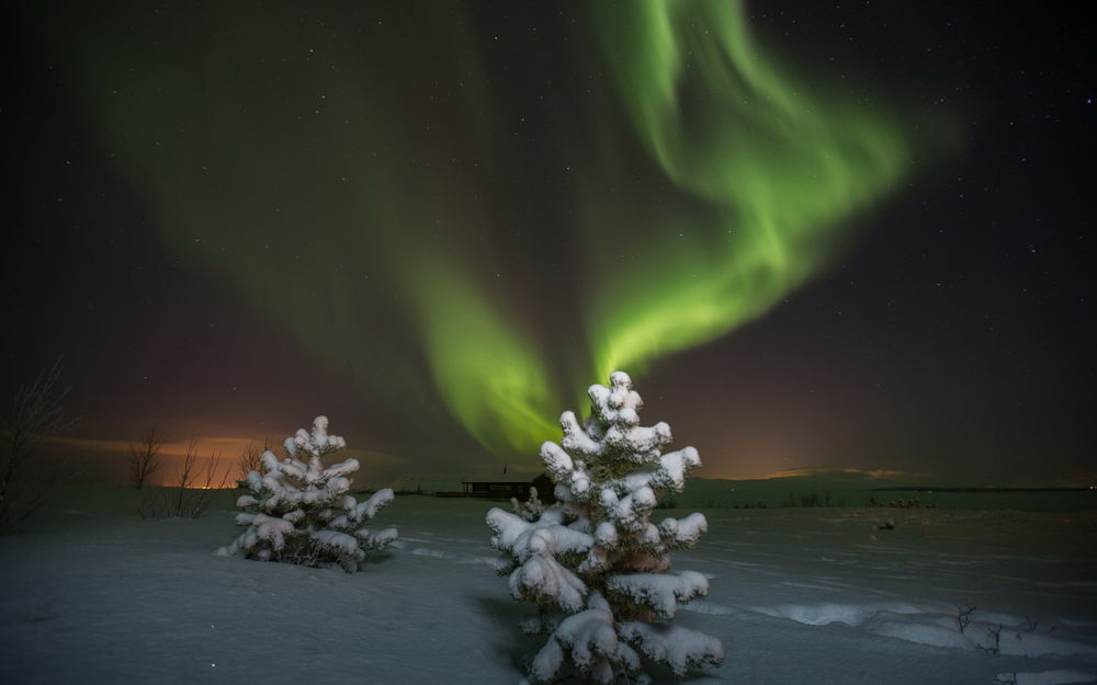 Обои для рабочего стола Две сосны, покрытые толстым слоем снега, стоящие на заснеженном поле на фоне ночного, звездного неба и красивого Северного сияния