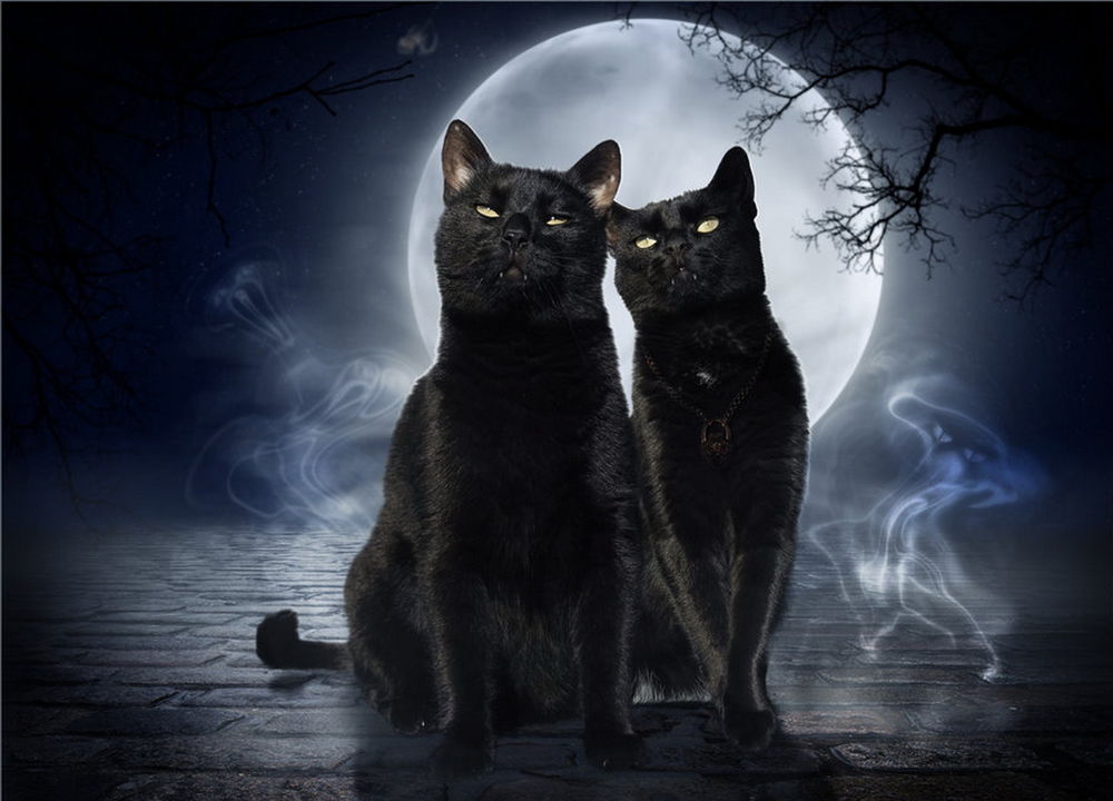 Обои на рабочий стол Черные кот и кошка, стоящие на мощеной мостовой на  фоне ночного неба и полной луны и белых призраков над дорогой, автор  Catjuschka, обои для рабочего стола, скачать обои,