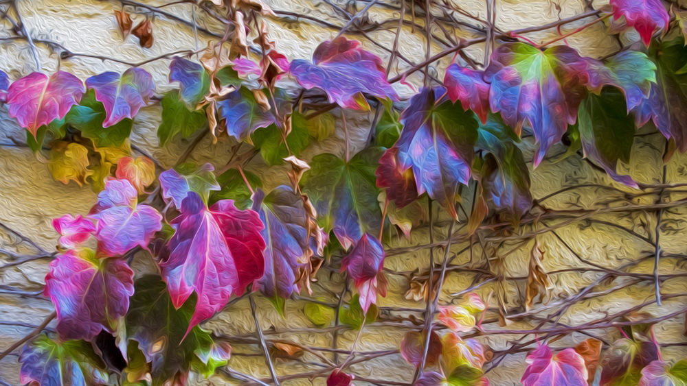 Обои для рабочего стола Разноцветные осенние листья хвоща на стене дома