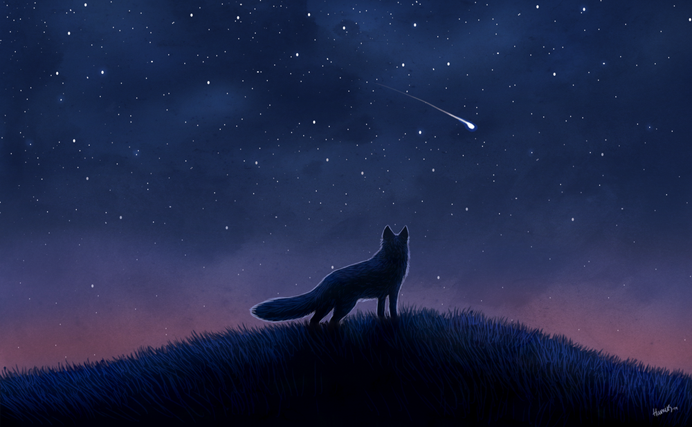 Животные на фоне звездного неба