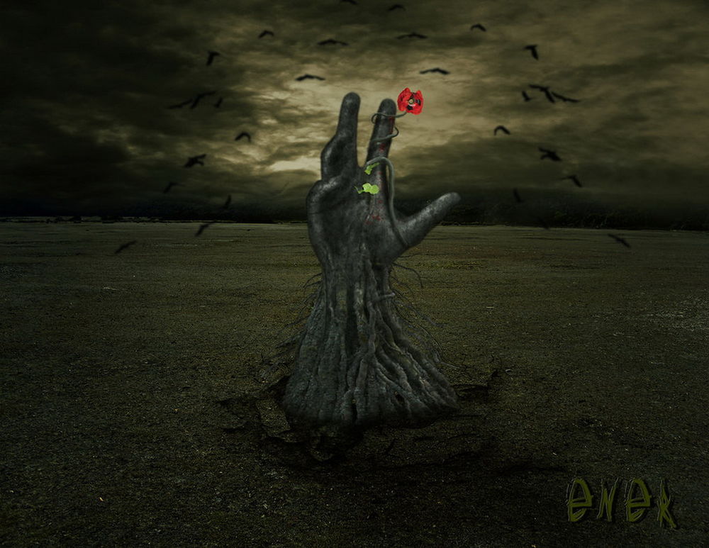 Обои для рабочего стола Человеческая рука в форме высохшего дерева, растущего на зеленом лугу с алым маком и зеленым листочком, обвившими палец на фоне пасмурного неба и парящих в воздухе черных птиц, автор Energiaelca1