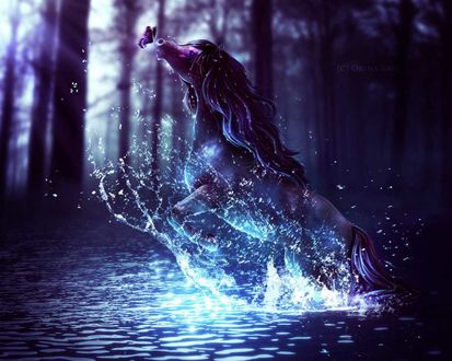 Обои на рабочий стол Лошадь выпрыгивая из воды пытается дотянутся до летающей рядом бабочки
