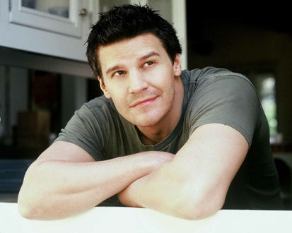 Обои на рабочий стол Актер Дэвид Бореаназ / David Boreanaz