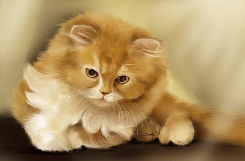 Обои на рабочий стол Рыжий маленький котенок, by dndrew