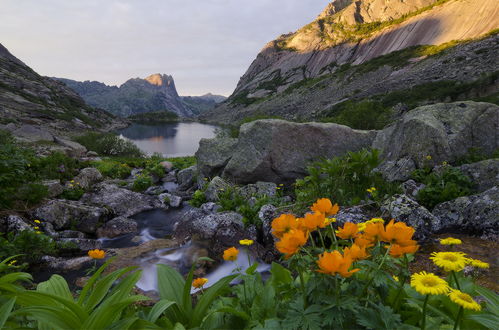 Обои на рабочий стол Оранжевые купальницы и желтые маргаритки, растущие невдалеке от крупных валунов на берегу горного озера. автор Александр Юсупов