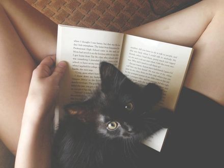 Обои на рабочий стол У девушки на ногах лежит книга, а на ней черный котенок