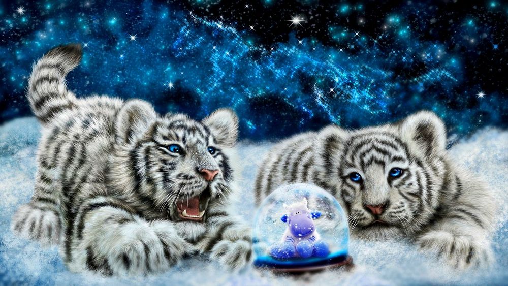 Обои для рабочего стола Белые тигрята смотрят на игрушечную корову в стеклянном шаре