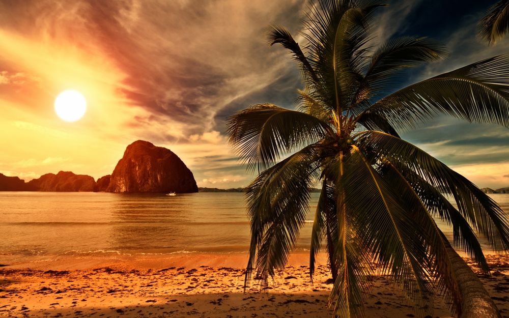 Обои для рабочего стола Золотистые солнечные лучи на рассвете осветили скалистый берег моря с растущей на нем пальмой