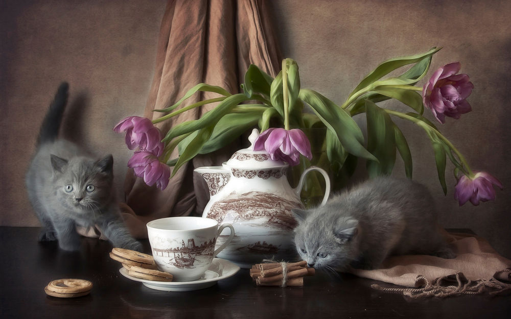 Обои для рабочего стола Два пепельных котенка сидят на столе возле вазы с тюльпанами и чайного сервиза