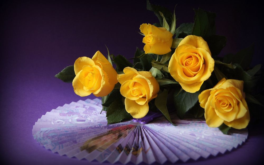 Обои для рабочего стола Букет желтых роз лежит на расправленном веере