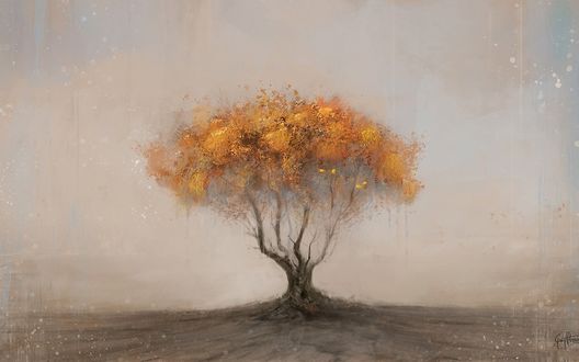 Обои на рабочий стол Одинокое дерево с желтой листвой в туманной дымке, by Georg Hilmarsson