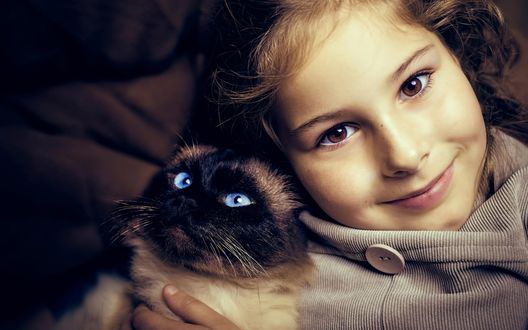 Обои на рабочий стол Девочка прижимает к себе сиамскую кошку с голубыми глазами