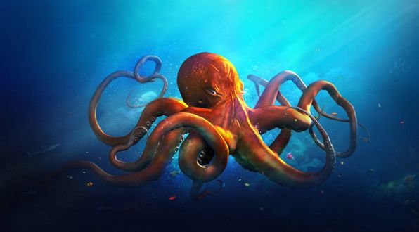 Обои на рабочий стол Коричневый осьминог плавает в синей воде