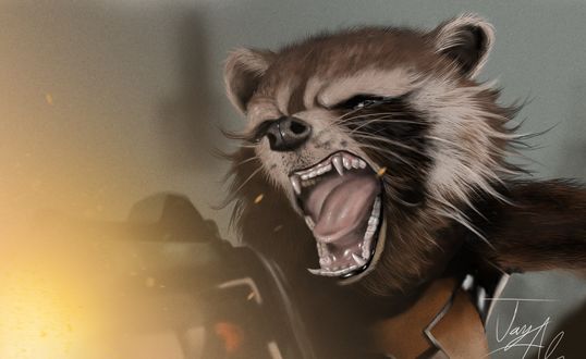 Обои на рабочий стол Разъяренный енот из кинофильма Стражи Галактики / Guardians of the Galaxy в злобе открыл зубастую пасть