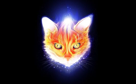 Обои на рабочий стол Морда рыжей кошки из темноты, объятая голубым пламенем