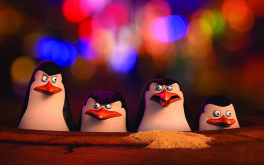 Обои на рабочий стол Четыре пингвина Мадагаскара / Penguins Madagaskar: Рико / Rico, Шкипер / Skipper, Рядовой / Private и Ковальски / Kowalski, выглядывают, сидя в засаде