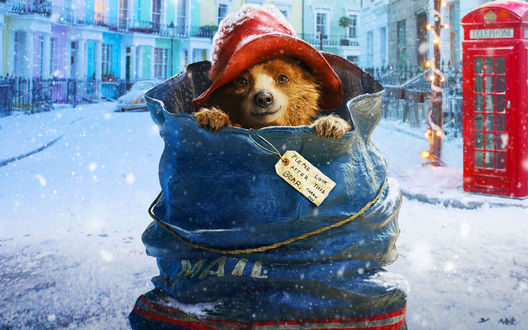 Обои на рабочий стол Мультфильм Приключения Паддингтона / Paddington, медвежонок сидит в синем мешке для почты (Please Look after this BEAR. Thank you.)