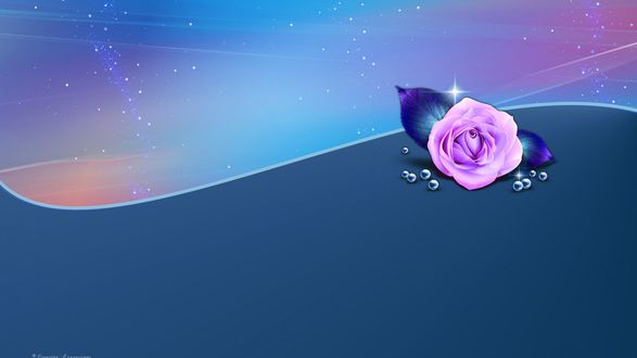 Обои на рабочий стол Цветок розы с листьями и белый жемчуг лежат на абстрактном поле