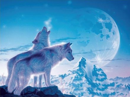 Обои на рабочий стол Два волка стоят на утесе, один из них поднял вверх голову и воет на Луну