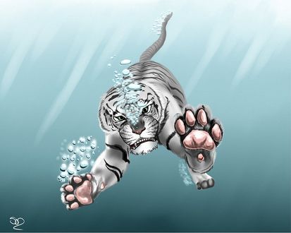 Обои на рабочий стол Белый тигр плывет под водой, выставив вперед свои лапы