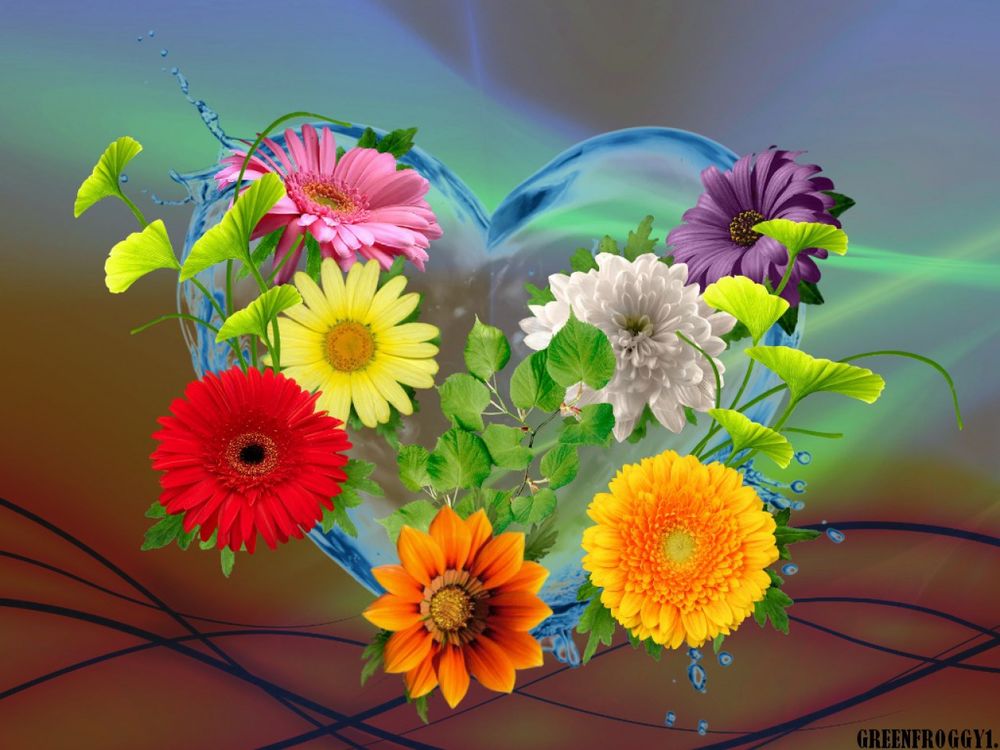 Обои для рабочего стола Водяное сердце в разноцветных цветах, GREENFROGGY1