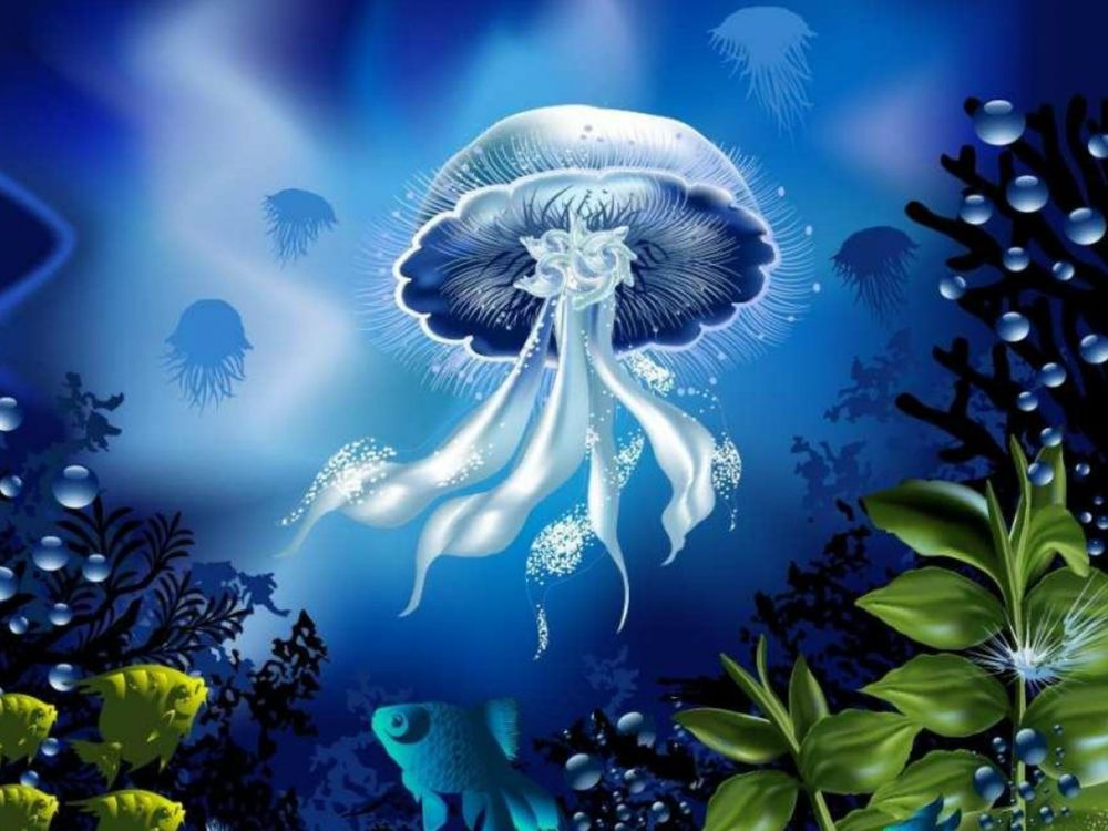 Обои для рабочего стола Бело-голубая медуза плывет в синей воде, рядом с зелеными водорослями