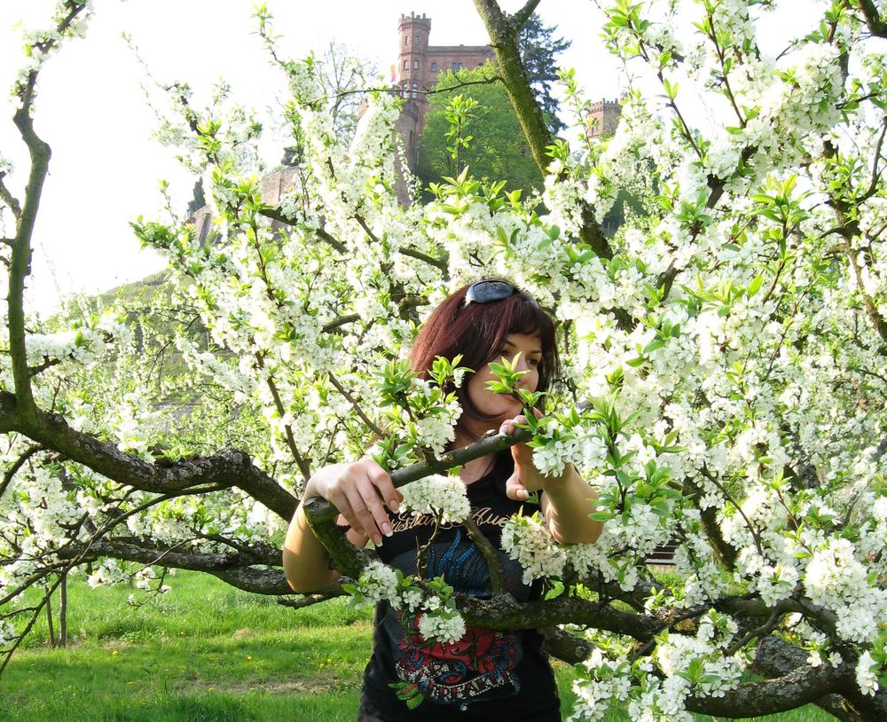 Обои для рабочего стола Темноволосая девушка с солнцезащитными очками на голове, стоящая между веток цветущей весной яблони на фоне серого неба и каменного замка, стоящего на горе