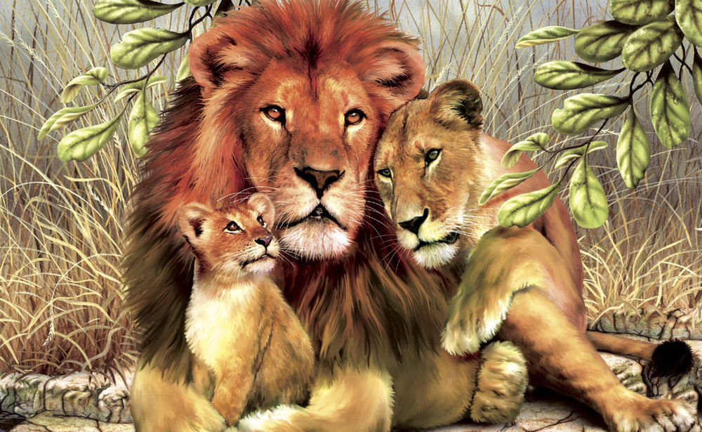 Обои для рабочего стола Семья львов сидит плотно прижавшись друг к другу