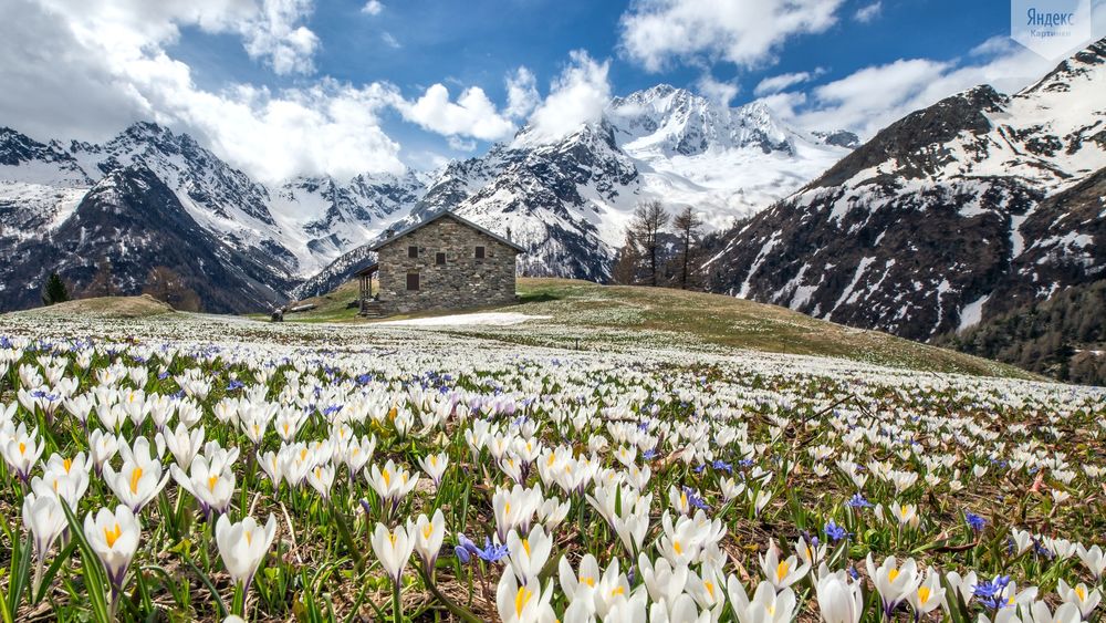 весна в альпах