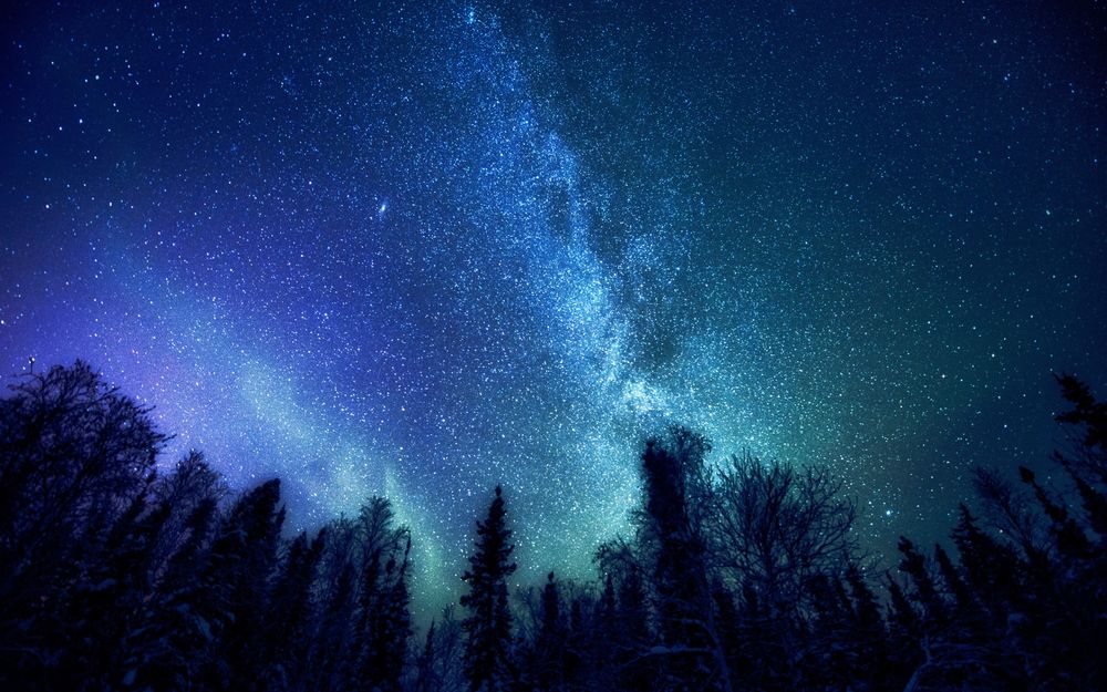 Обои для рабочего стола Ночное, звездное небо с красивым Млечным путем над лесом