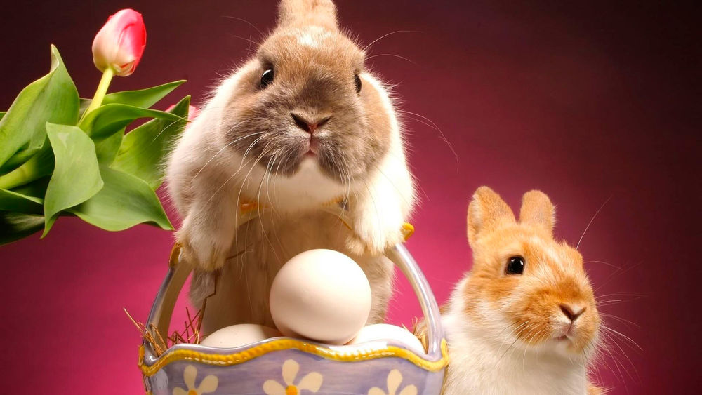 Обои для рабочего стола Два кролика с пасхальной корзинкой в которой лежат яйца