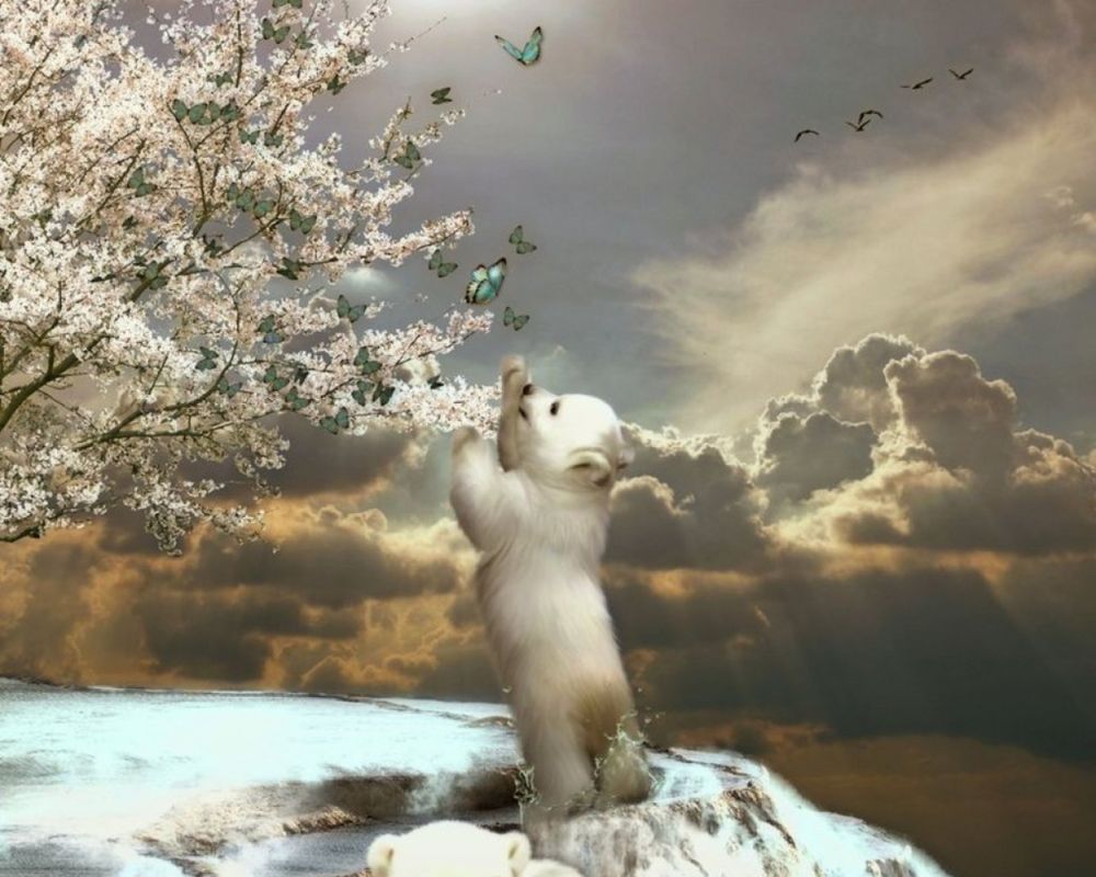 Обои для рабочего стола Белый медвежонок став на задние лапы тянется к бабочкам, кружащим над цветущим деревом, в небе летят птицы с теплых краев