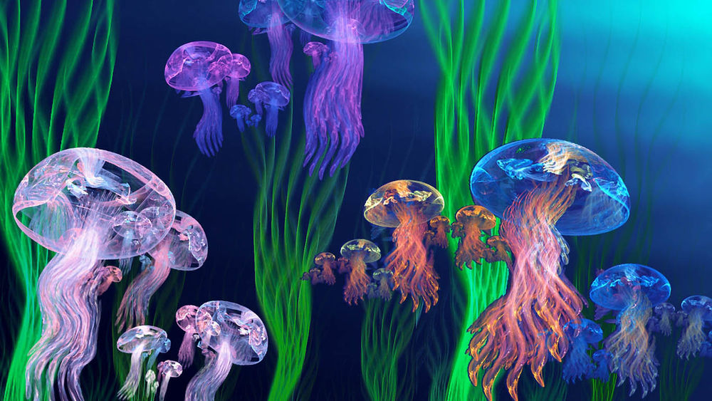 Обои для рабочего стола Медузы плавают среди водорослей