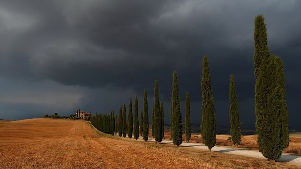 Обои на рабочий стол Под хмурым небом лежит дорога среди скошенных сельскохозяйственных полей, обсаженная с двух сторон кипарисами, ведущая к виднеющемуся вдали дому