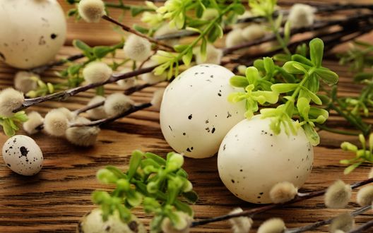 Обои на рабочий стол Среди вербных веточек лежат перепелиные и куриные пасхальные яйца