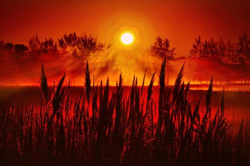 Обои на рабочий стол Красивый закат, фотограф Phil Koch